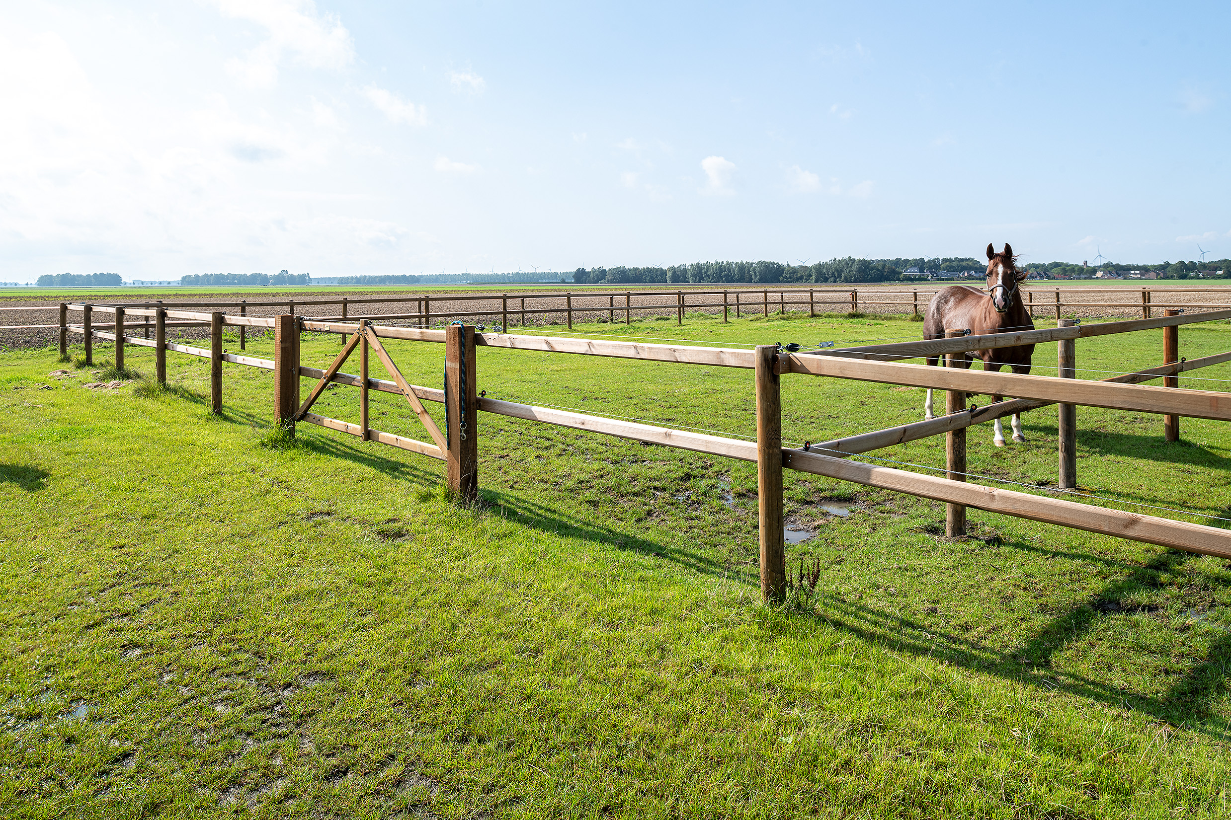 afrastering dieren hekwerk weiland