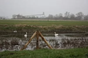 afrastering omheining