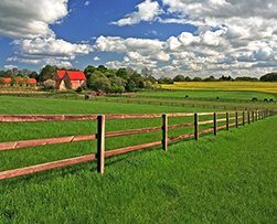 omheining paardenhek weide