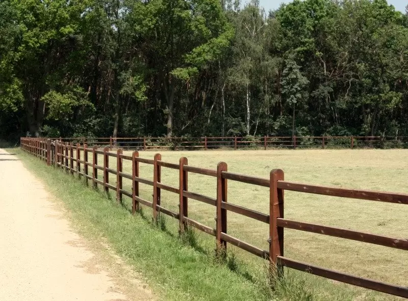 houten omheining paard