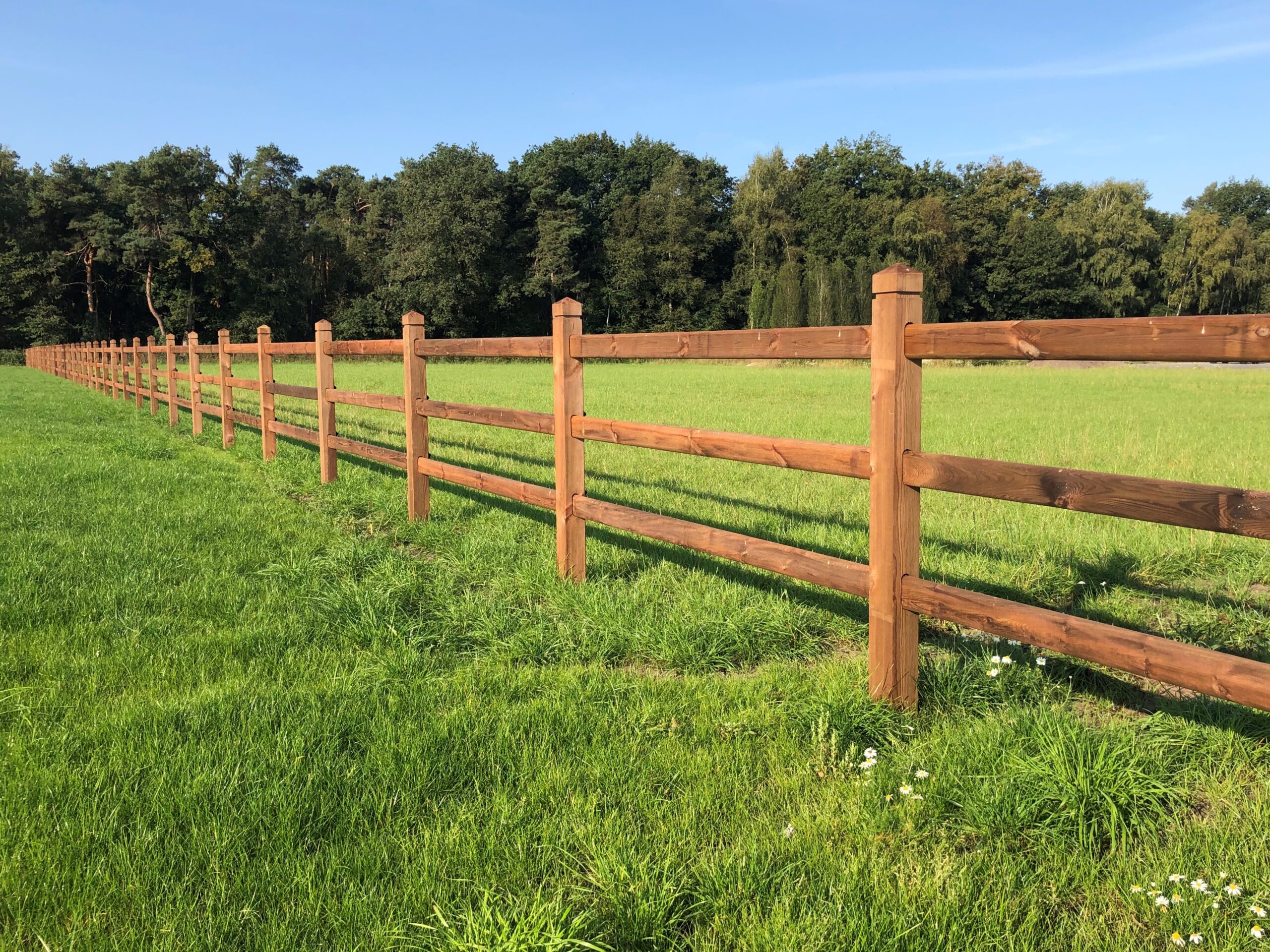 Wat zijn de voordelen van een paardenomheining?