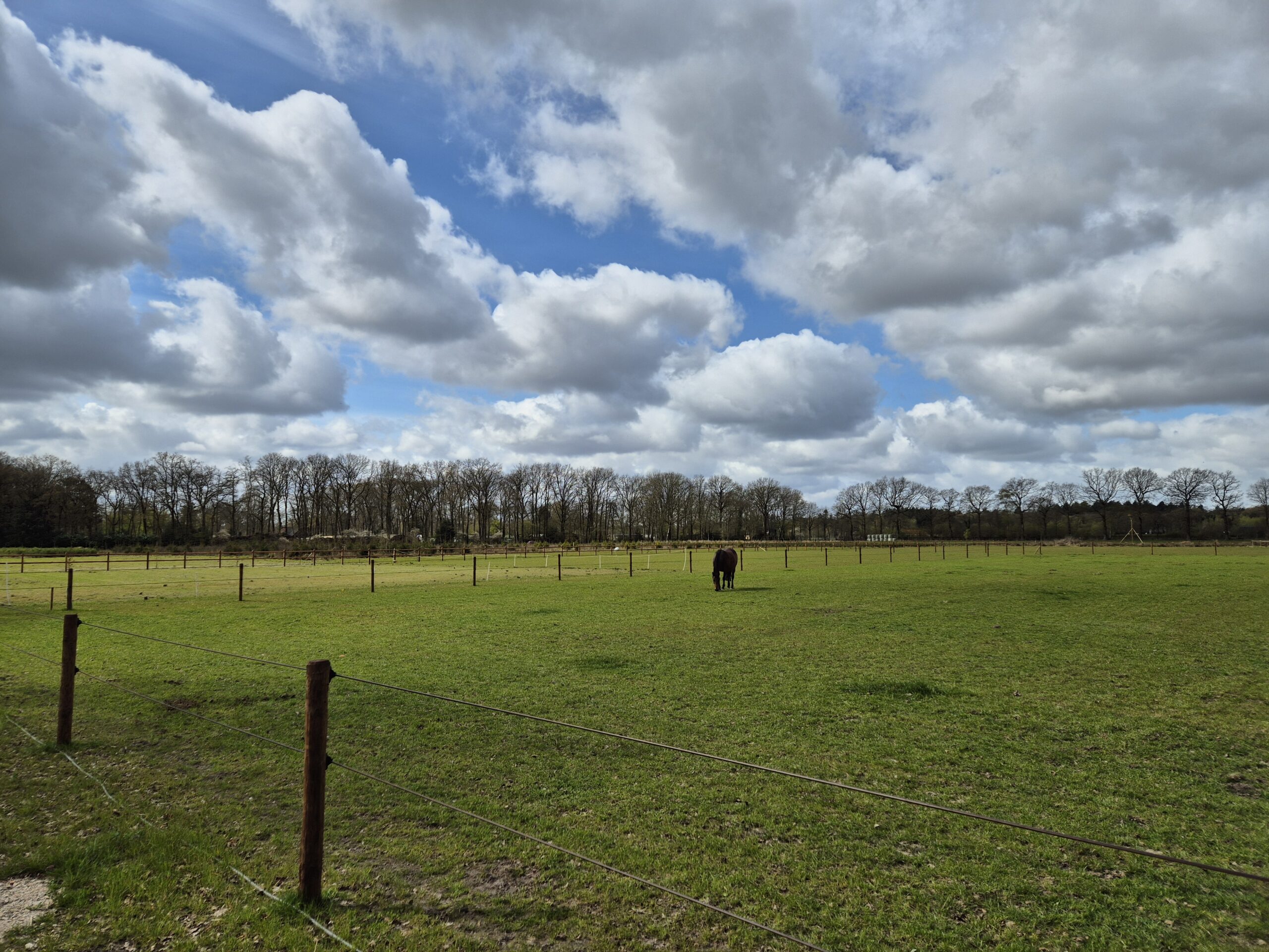 Paardenomheining stroom Schuurman