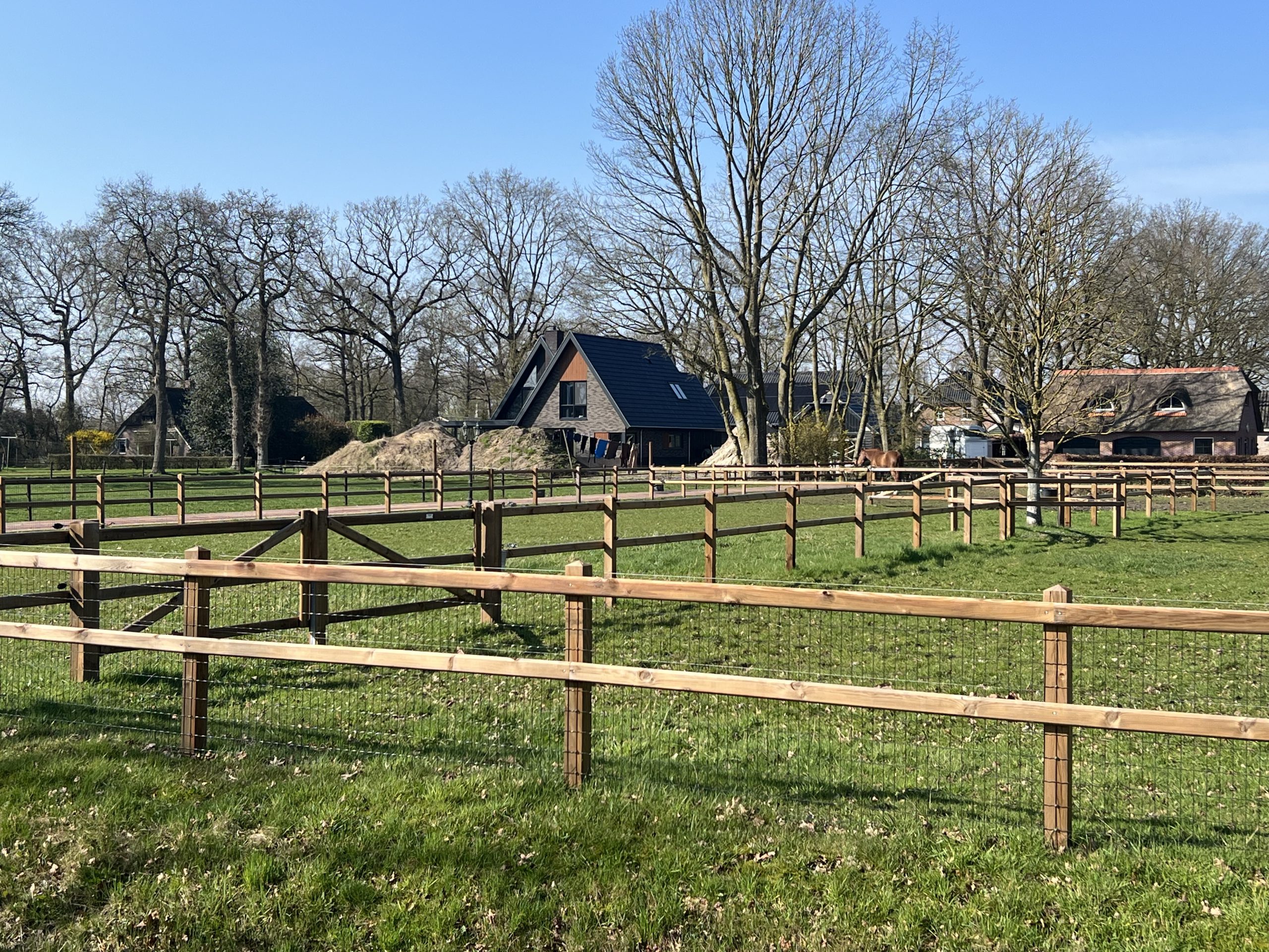 Paarden raster