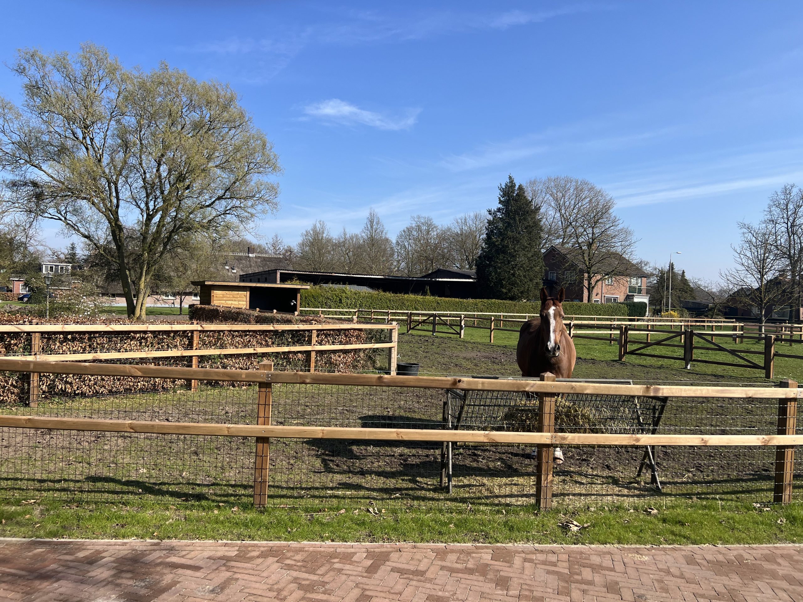 Paarden omheining Schuurman